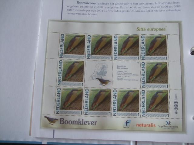 Prachtig vel vogels Boomklever, Verzenden, Dier of Natuur