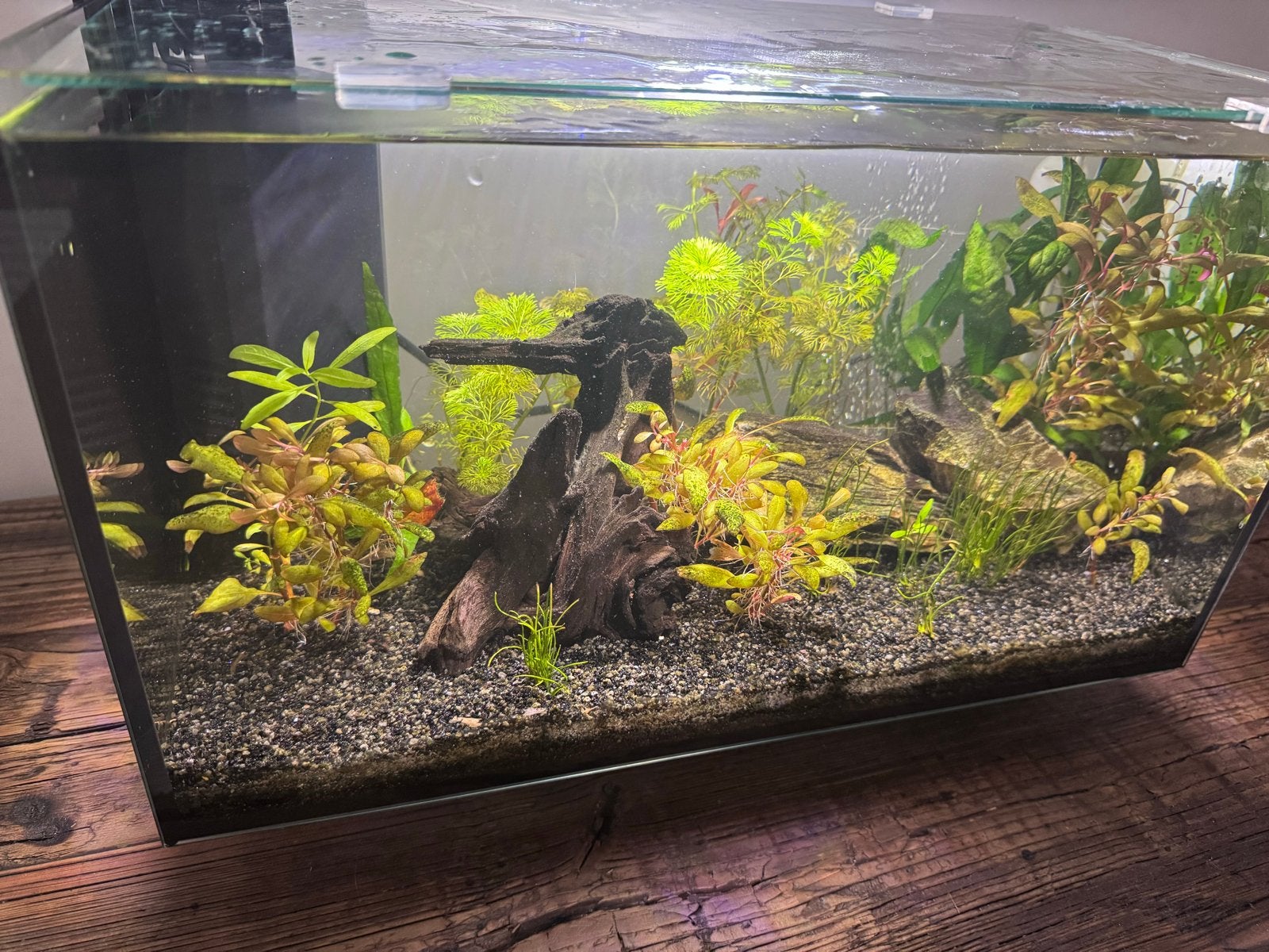 **Zeer net aquarium incl. Alle toebehoren **, Dieren en Toebehoren, Ophalen of Verzenden