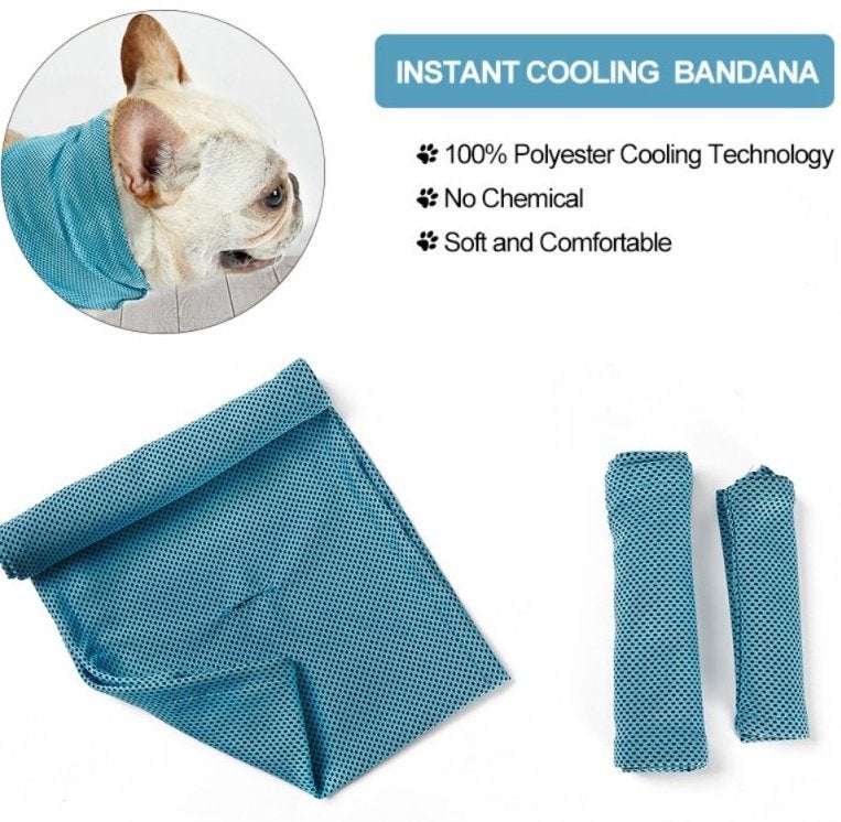 koeling bandana voor de warme dagen voor uw hond - € 3,50, Dieren en Toebehoren, Ophalen of Verzenden, Nieuw, Overige typen