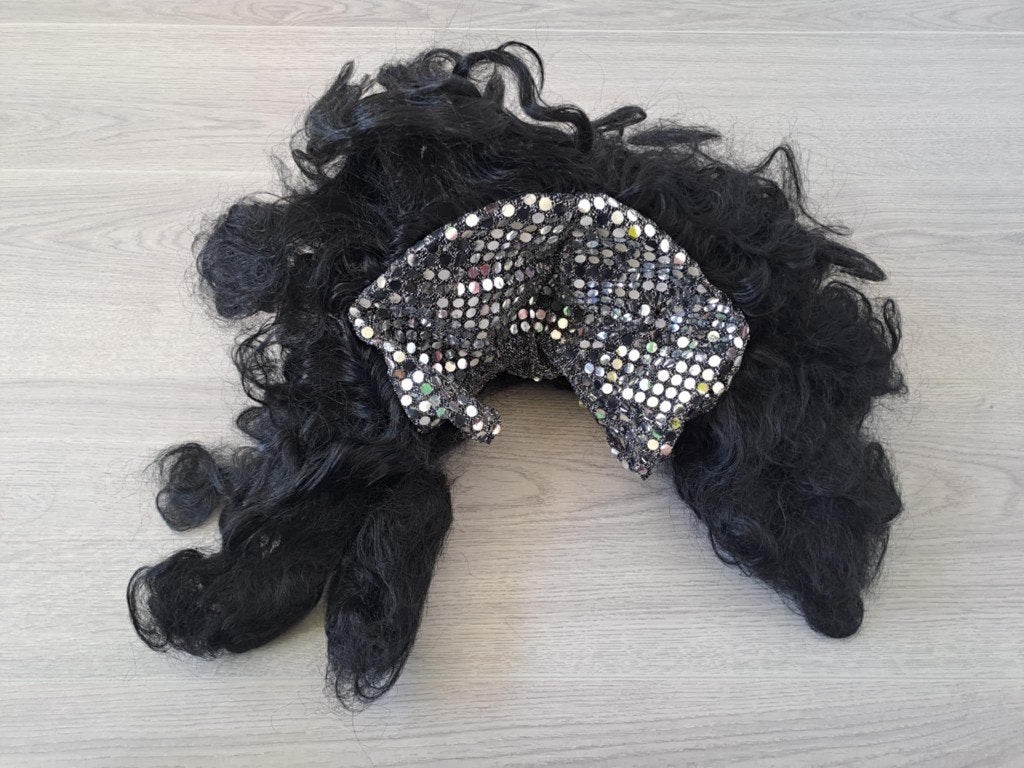 Gratis carnavalsspullen, Ophalen, Gedragen, Carnaval, Kleding