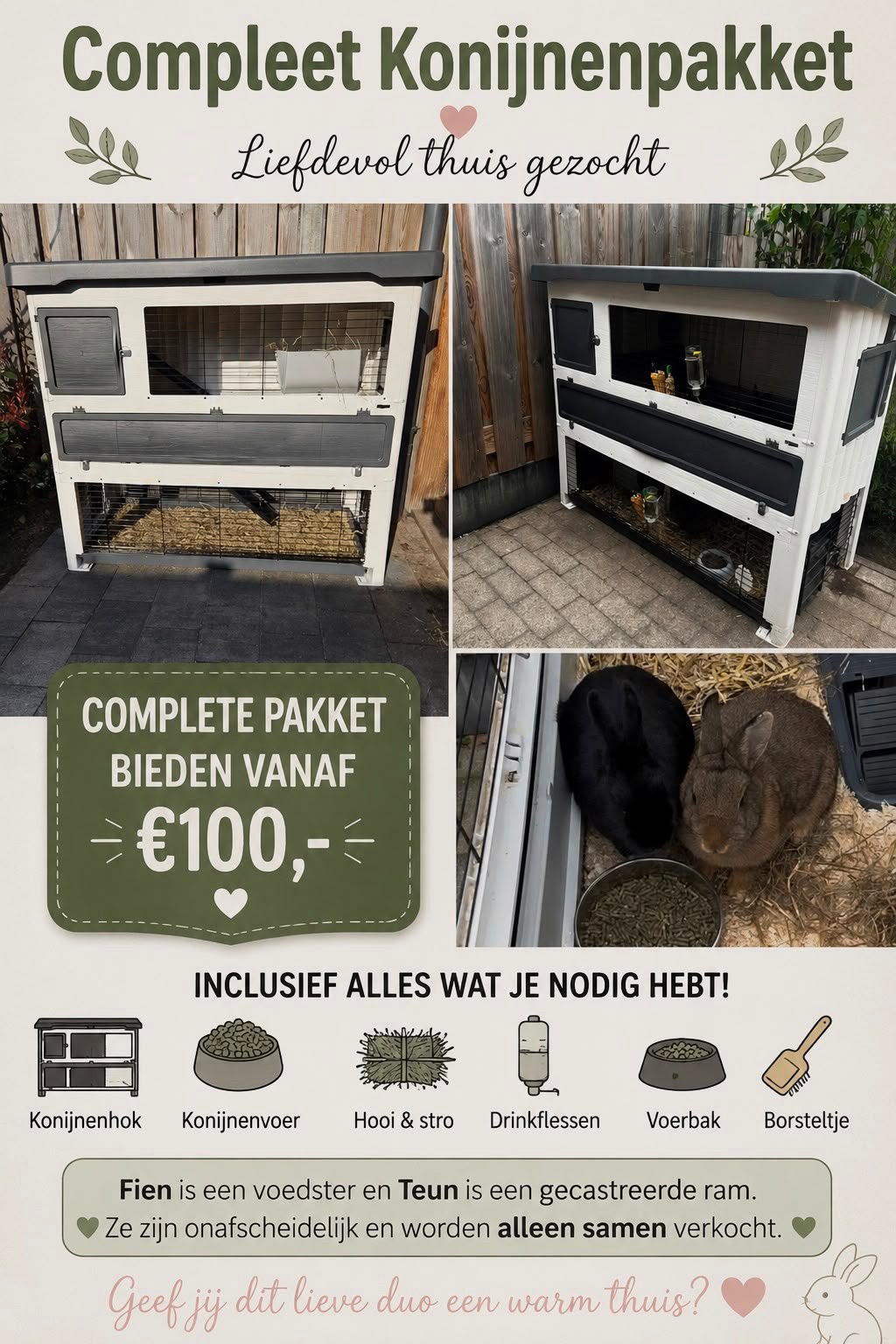 Compleet konijnenhok met 2 konijnen, Dieren en Toebehoren, Ophalen, 110 cm of meer, Hok, 90 cm of meer