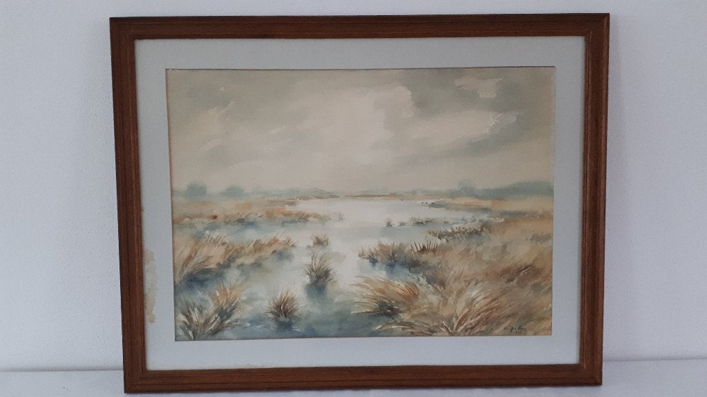Aquarel moerasgebied van Edgar Jetter, Ophalen