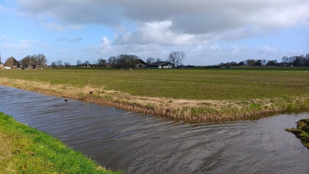 Weide 1 hectare, Dieren en Toebehoren