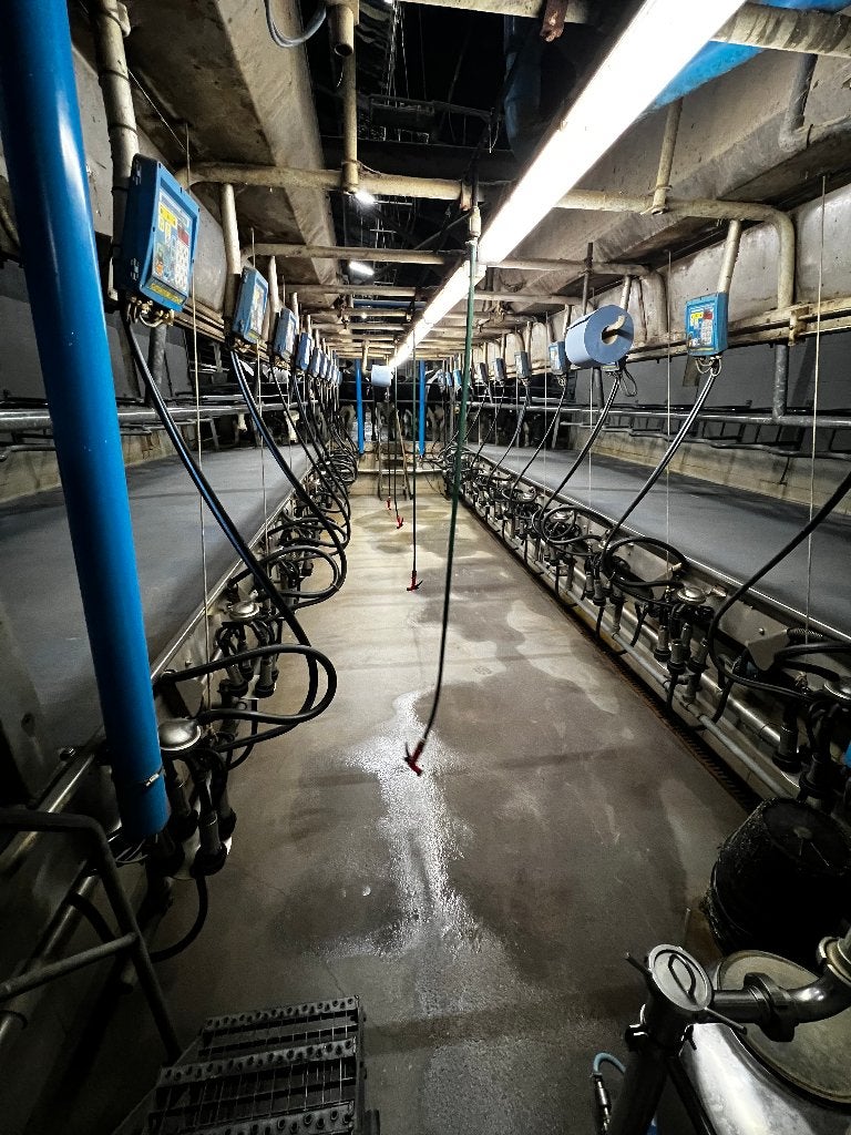 melkstal 2x11 zij aan zij DeLaval, Ophalen of Verzenden, Gebruikt