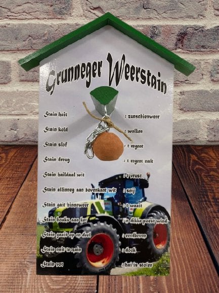 Weersteen/weerstation, Tuin en Terras, Ophalen of Verzenden, Nieuw