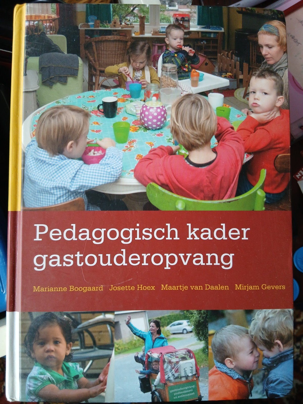 Pedagogisch kader gastouderopvang, Boeken, Ophalen of Verzenden, Zo goed als nieuw, Mirjam Gevers Deynoot-Schaub; Maartje van Daalen-Kapteijns; M...
