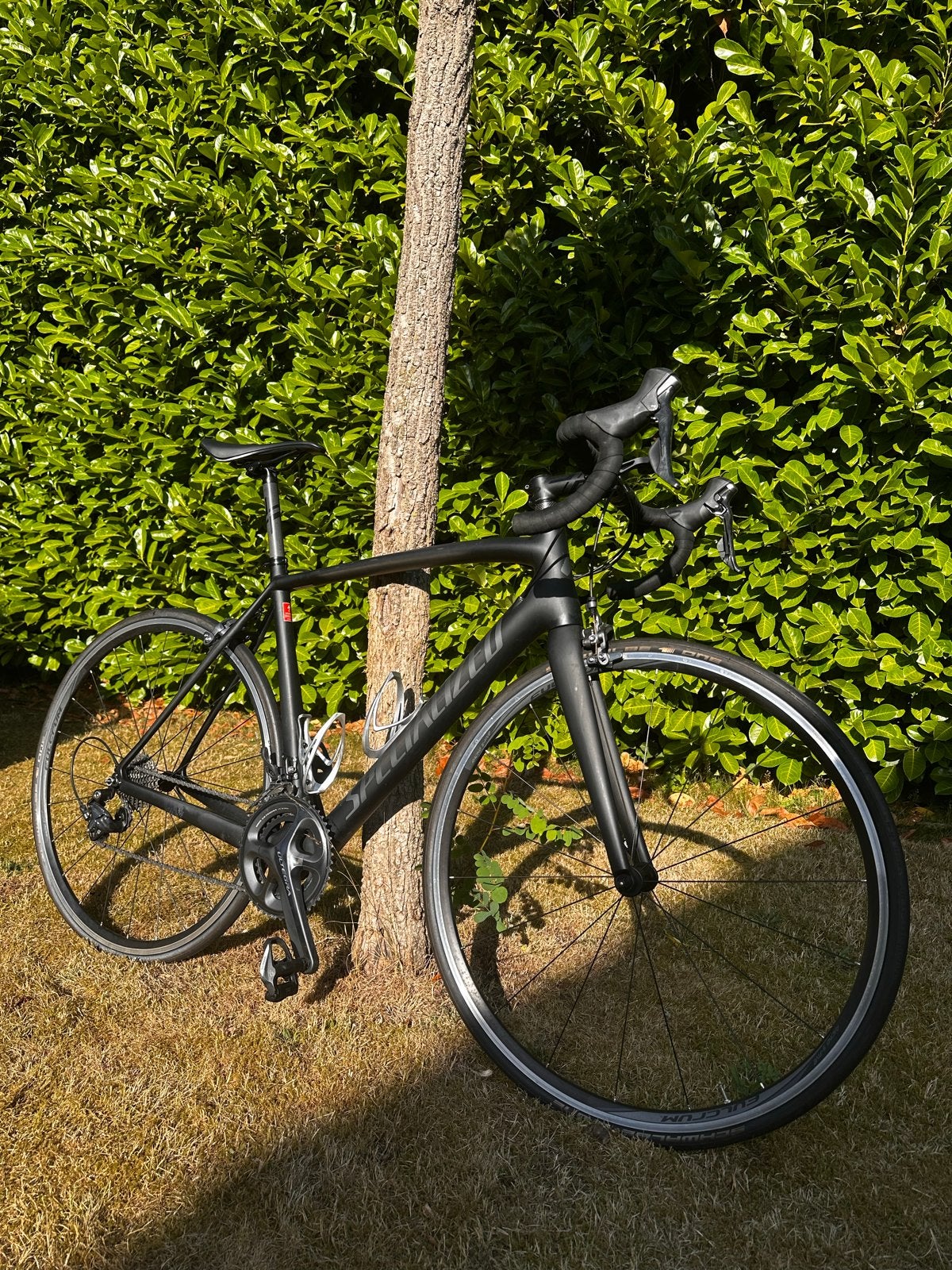 Specialized racefiets - Maat 56, Gebruikt, Carbon, Meer dan 20 versnellingen, 53 tot 57 cm