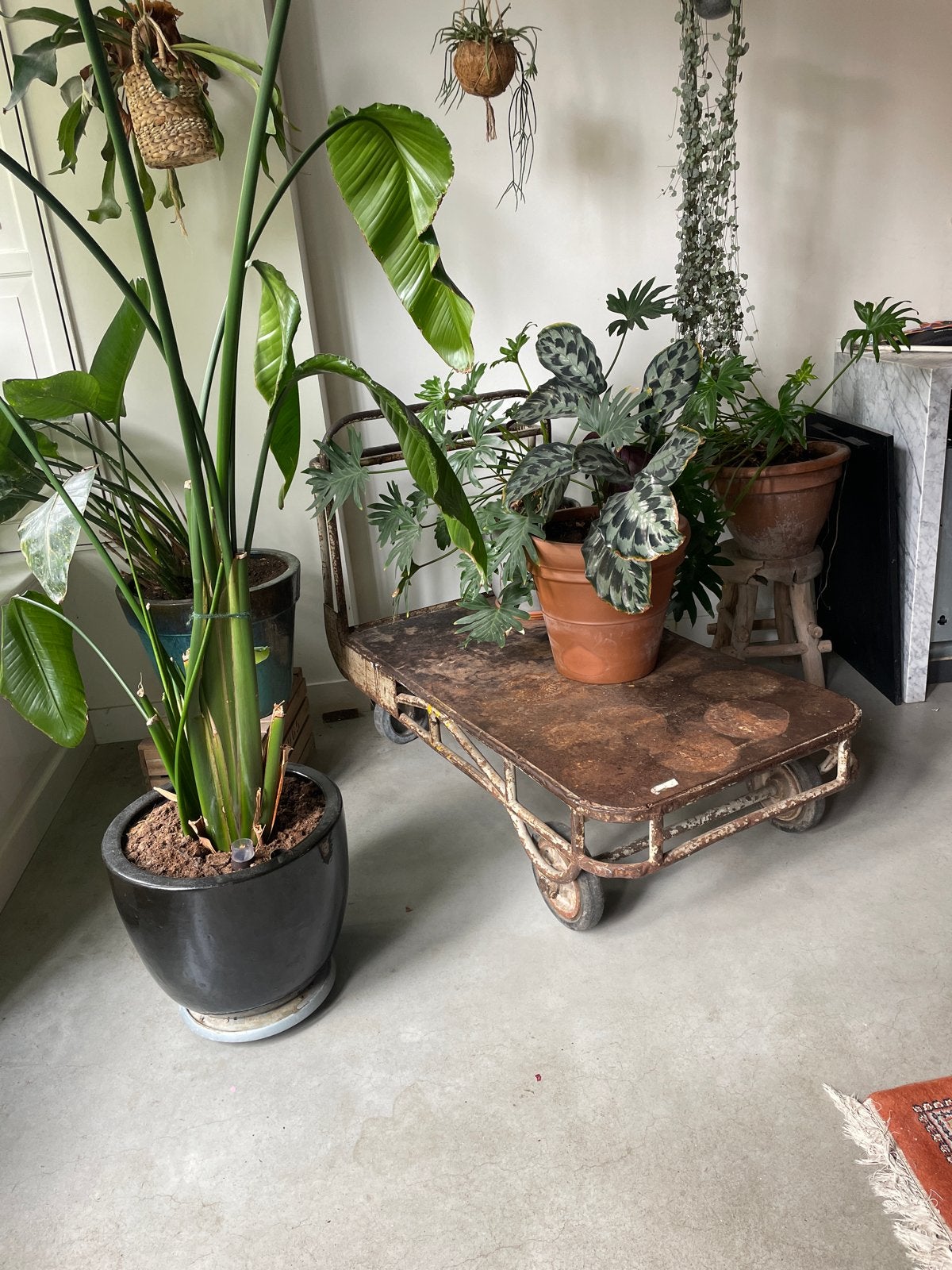 Vintage Industriële Platte Kar - Uniek Decoratiestuk, Ophalen