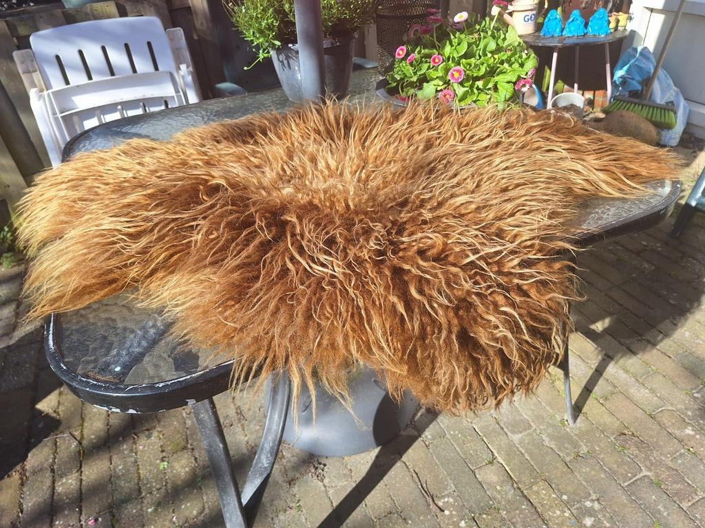 Grote schapenvacht 
110/70   **Ginger**
Mooie lange haren, Ophalen of Verzenden, Zo goed als nieuw, Minder dan 10 m², Tapijt