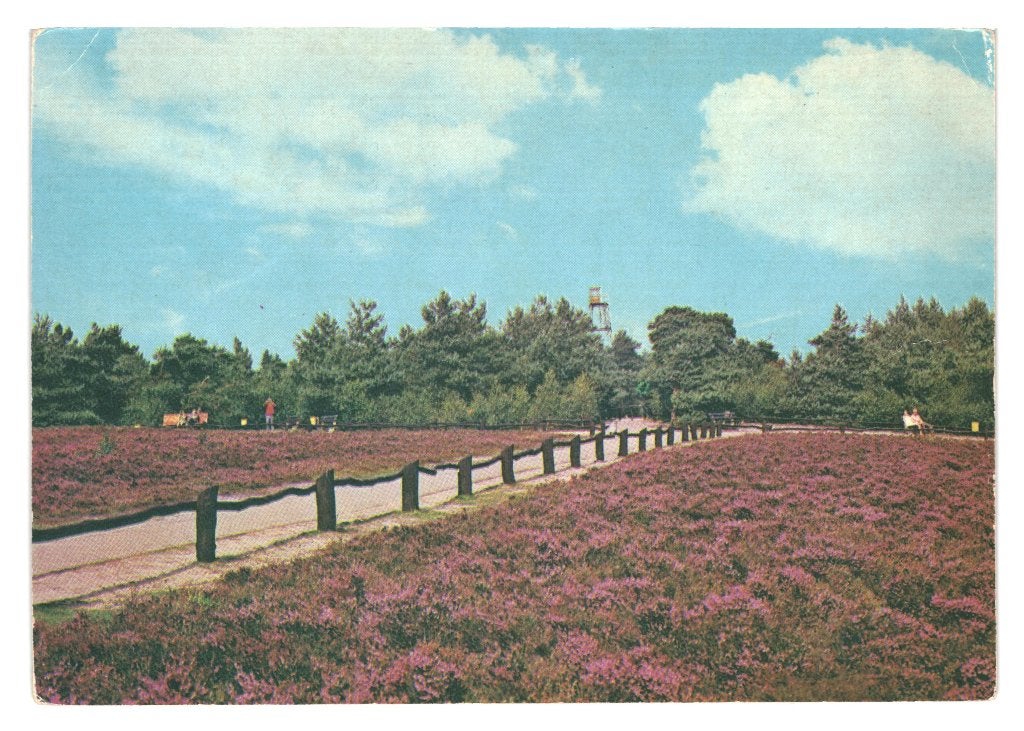 972384 Nijverdal 1969 Heidegezicht met Brandtoren Gelopen, Ophalen of Verzenden, 1960 tot 1980, Gelopen, Overijssel