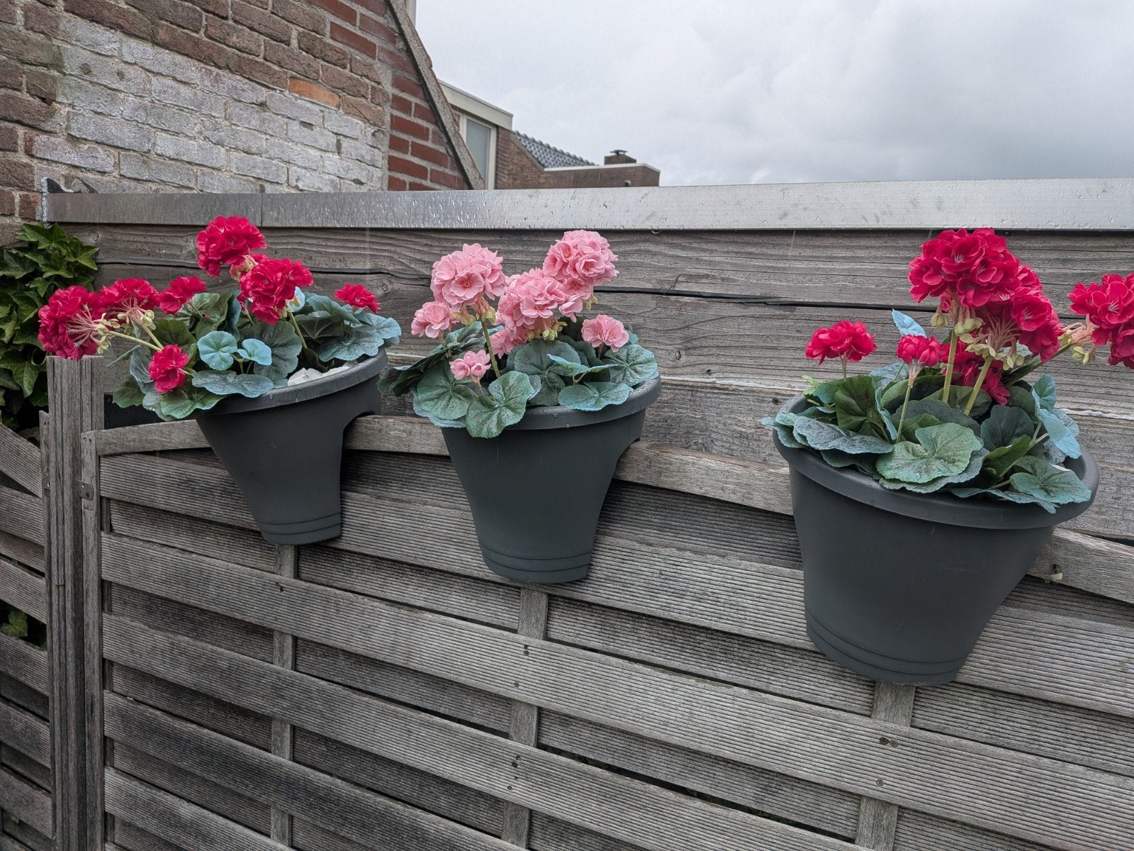 Set van 3 Elho Green Basics Flower Bridge balkonbakken, Ophalen, Nieuw, Kunststof