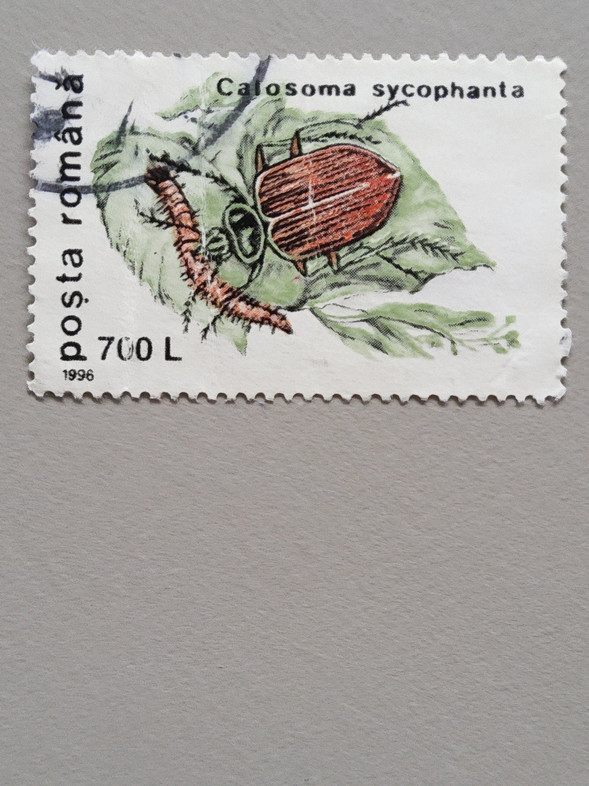 Roemeense postzegel 1996 - Calosoma sycophanta (700 L), Postzegels en Munten, Verzenden, Overige landen, Postfris