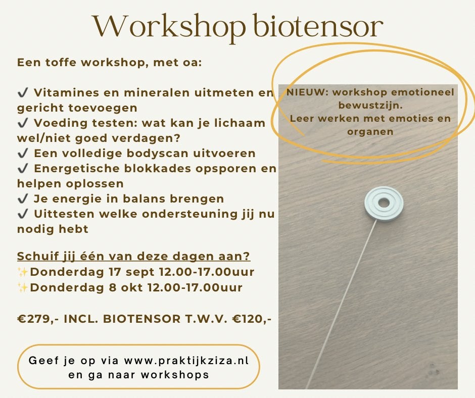 Workshop biotensor in Zwaag/Blokker Noord Holland, Ophalen, Zo goed als nieuw, Overige typen