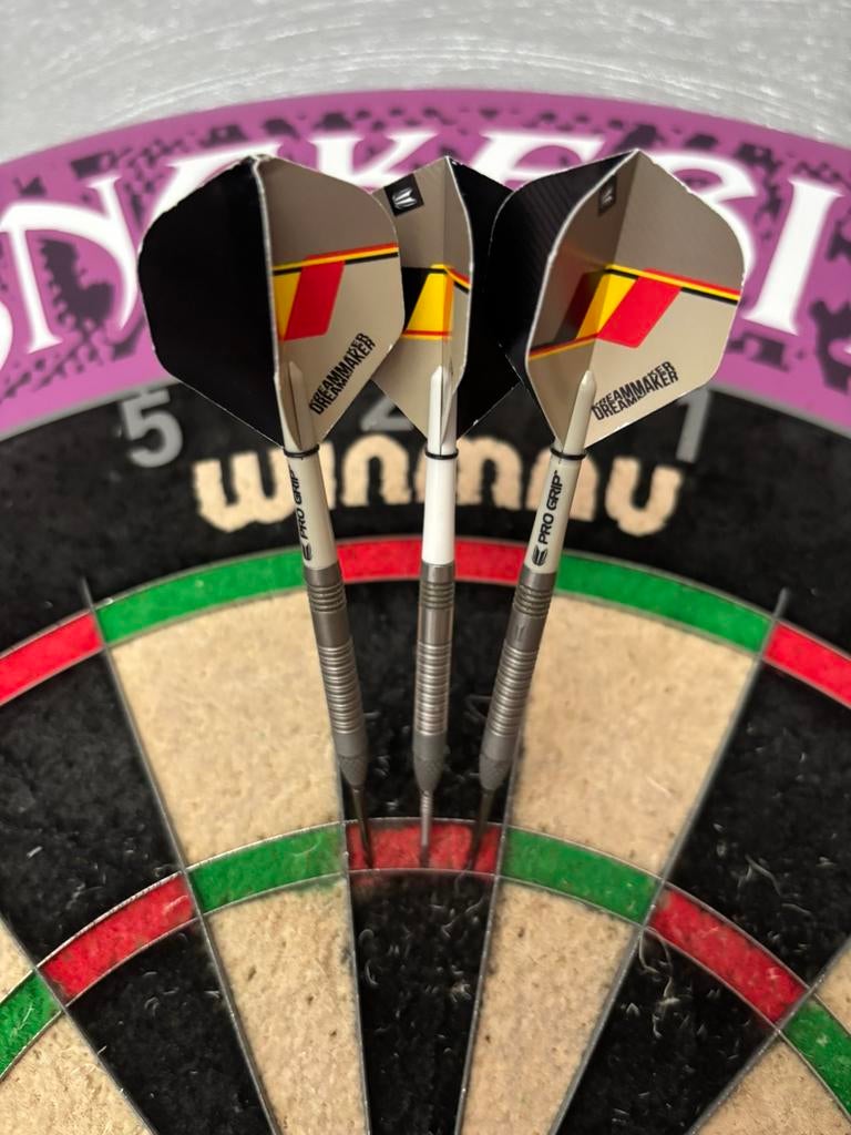 Target Dimitri van den Bergh SP G1 90% 21 Gram, Sport en Fitness, Darts, Ophalen of Verzenden, Zo goed als nieuw, Pijlen
