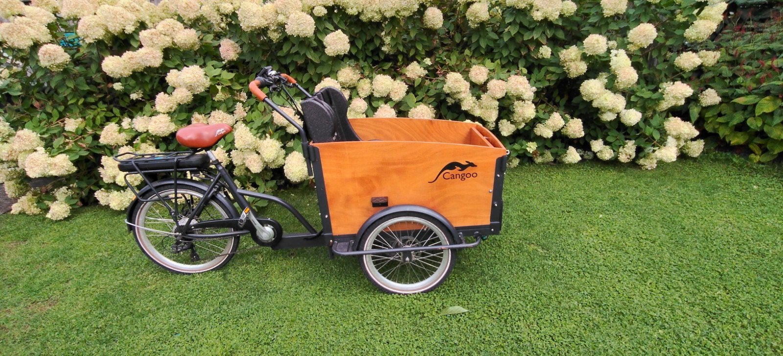 Cangoo bakfiets 5 jaar oud, inclusief huif, 4 kinderen of meer, Gebruikt, Huif, Schijfrem