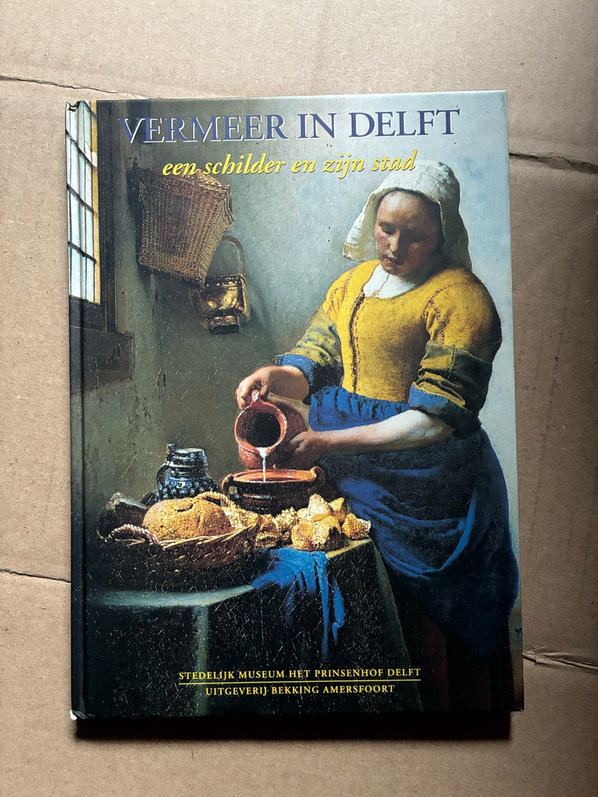 Vermeer in Delft: Een Schilder en Zijn Stad, Ophalen of Verzenden, Gelezen, Schilder- en Tekenkunst