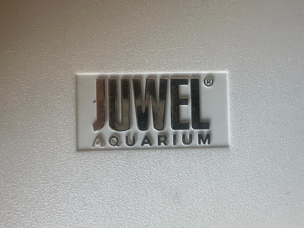 Compleet aquarium met 5 + 2 vissen, Ophalen, Inclusief vissen, Juwel, Gevuld zoetwateraquarium