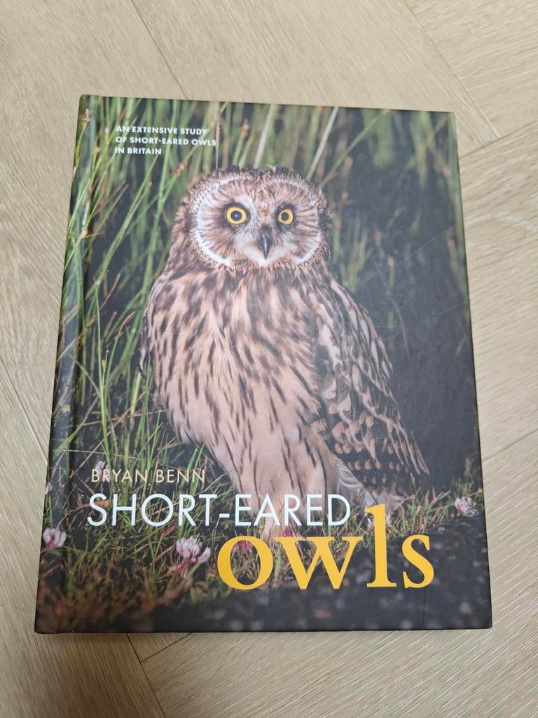 Velduil - Short Eared Owls - Bryan Bennet, Ophalen of Verzenden, Nieuw