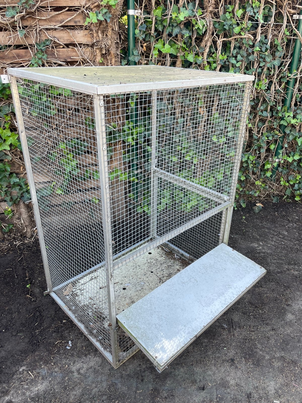 Duivenren voorhang ren spoetnick, Dieren en Toebehoren, Vogels | Duiven