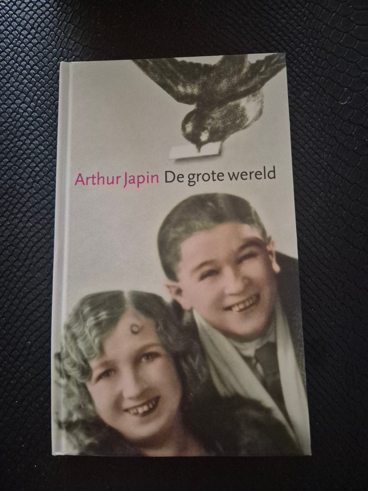 Arthur Japin - De grote wereld, Boeken, Ophalen of Verzenden, Zo goed als nieuw, Arthur Japin