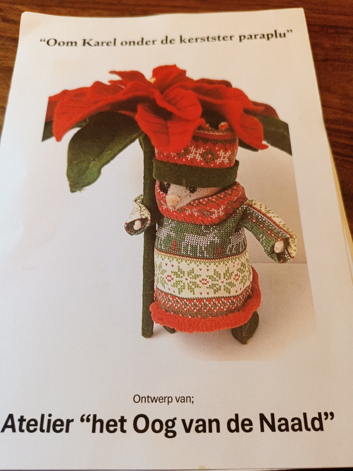 Patroon Karel onder de kerstster paraplu, Hobby en Vrije tijd, Vilt, Ophalen, Boek of Patroon