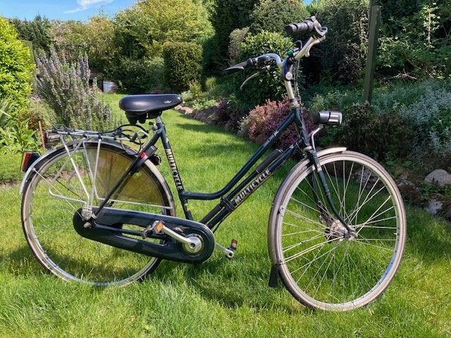 Damesfiets Multicycle, Fietsen en Brommers, Versnellingen, Zo goed als nieuw, 50 tot 53 cm, Ophalen