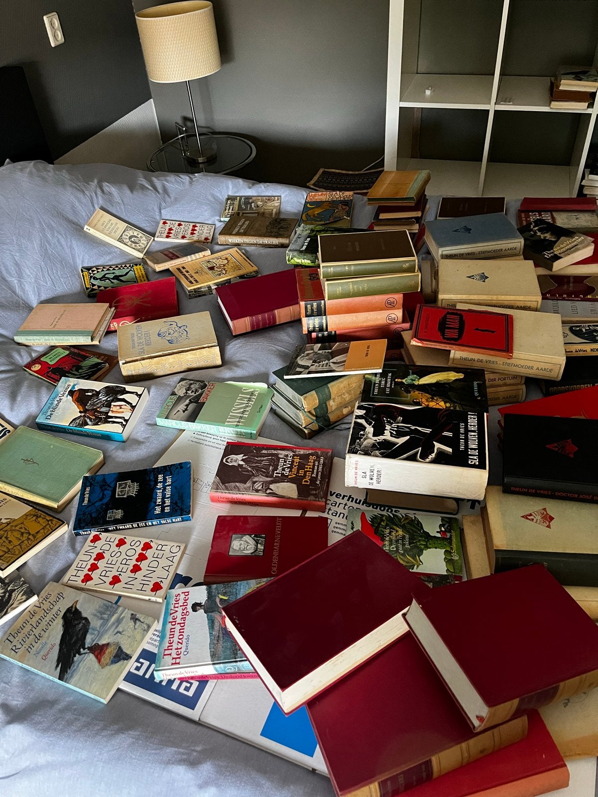 Grote collectie boeken van Theun de Vries, Ophalen, Gelezen, Nederland