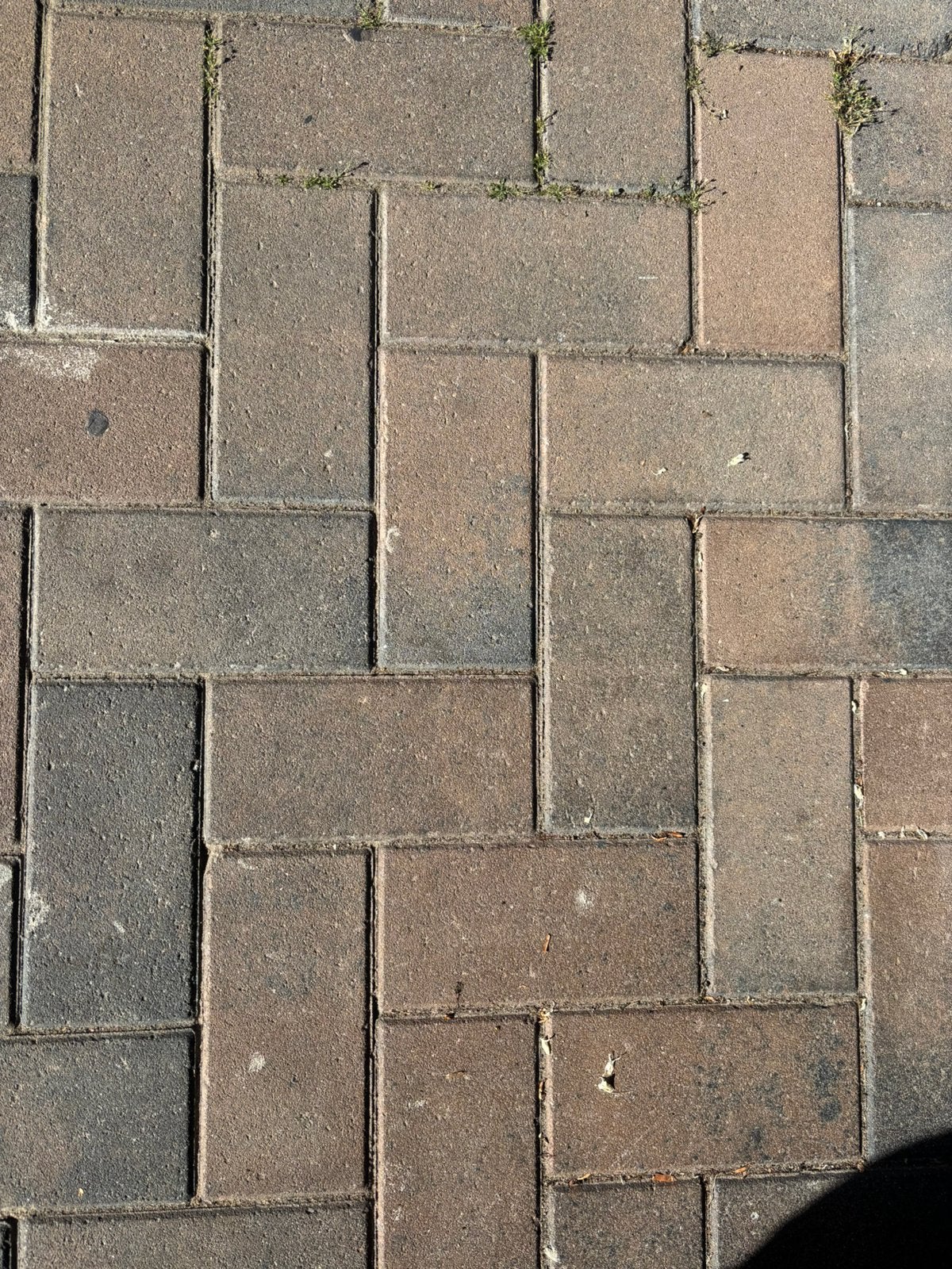 Gratis af te halen - 42 beton klinkers 7 cm met deklaag, Tuin en Terras, Tegels en Klinkers, Ophalen, Gebruikt, Klinkers, 10 m² of meer