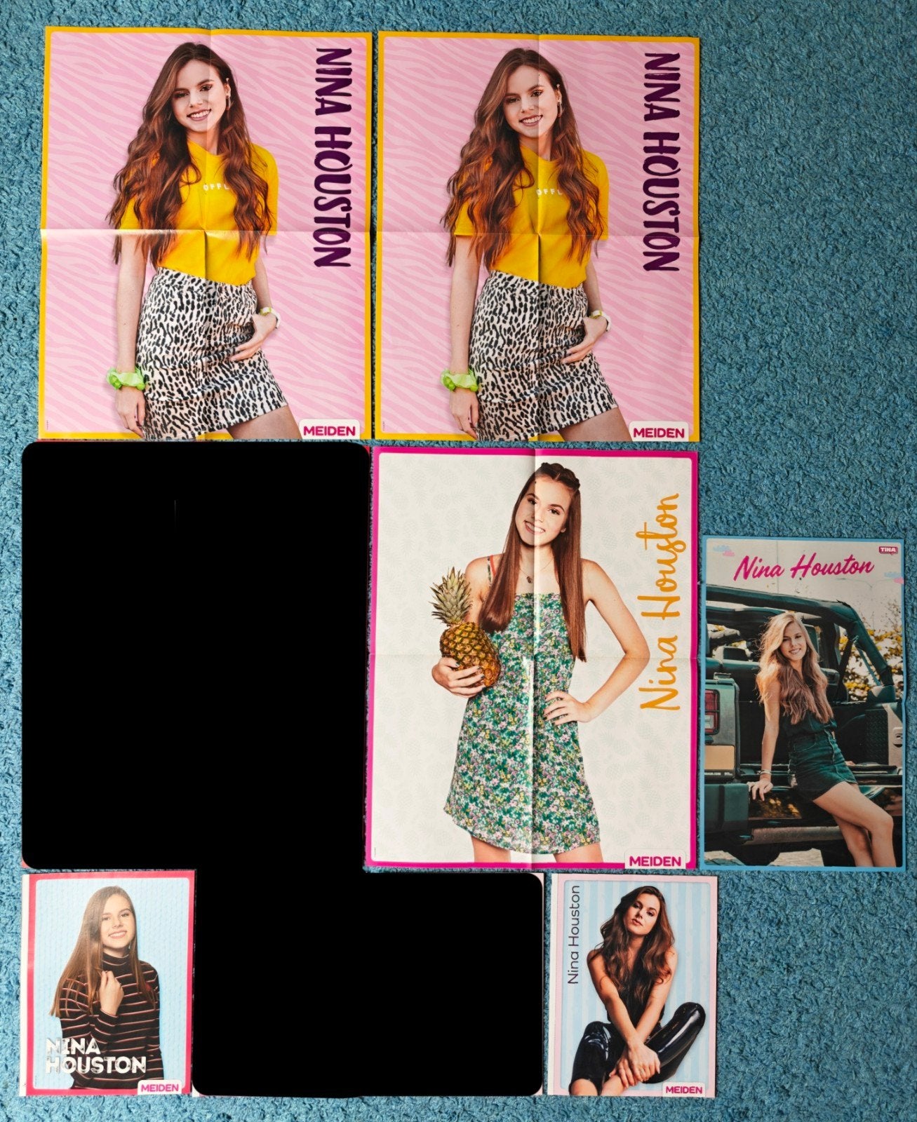 Nina Houston posters, Ophalen of Verzenden, Nieuw, A1 t/m A3, Rechthoekig Staand