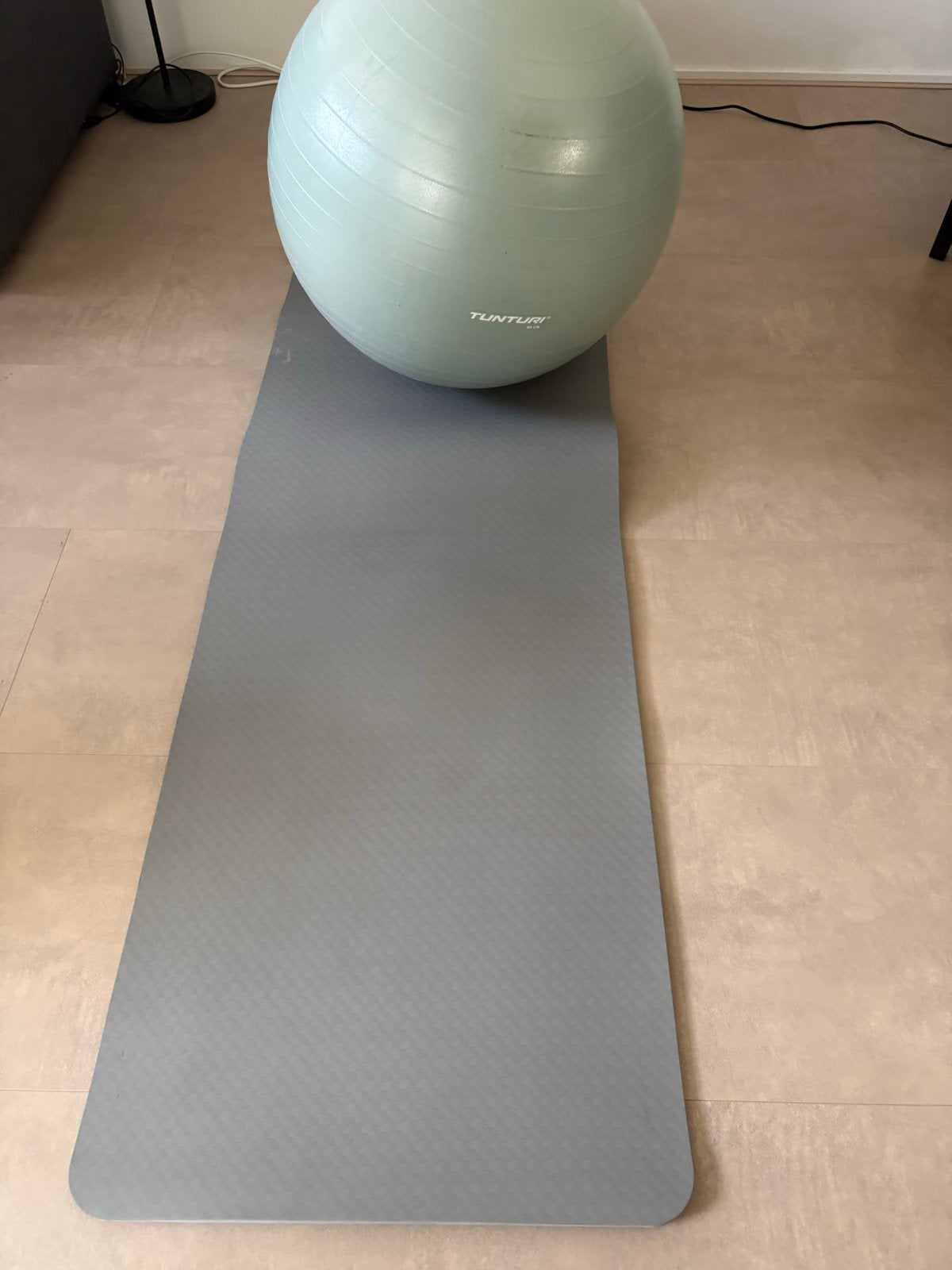 Tunturi Fitnessbal en Fitnessmat - Zo goed als nieuw, Ophalen, Zo goed als nieuw, Armen, Fitnessbal
