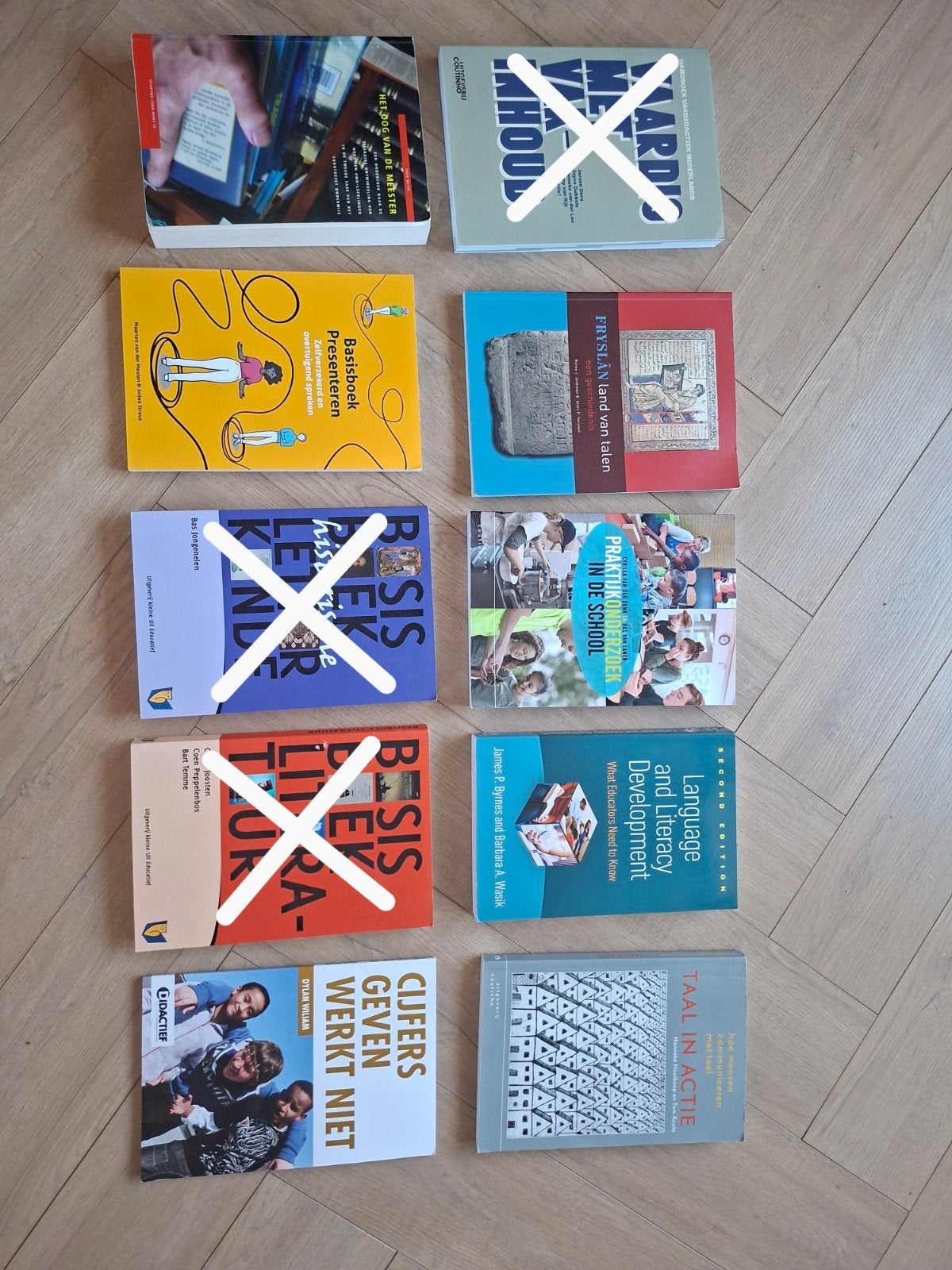 Diverse studieboeken lerarenopleiding Nederlands eerstegraad, Ophalen of Verzenden, Alpha, Gelezen, HBO