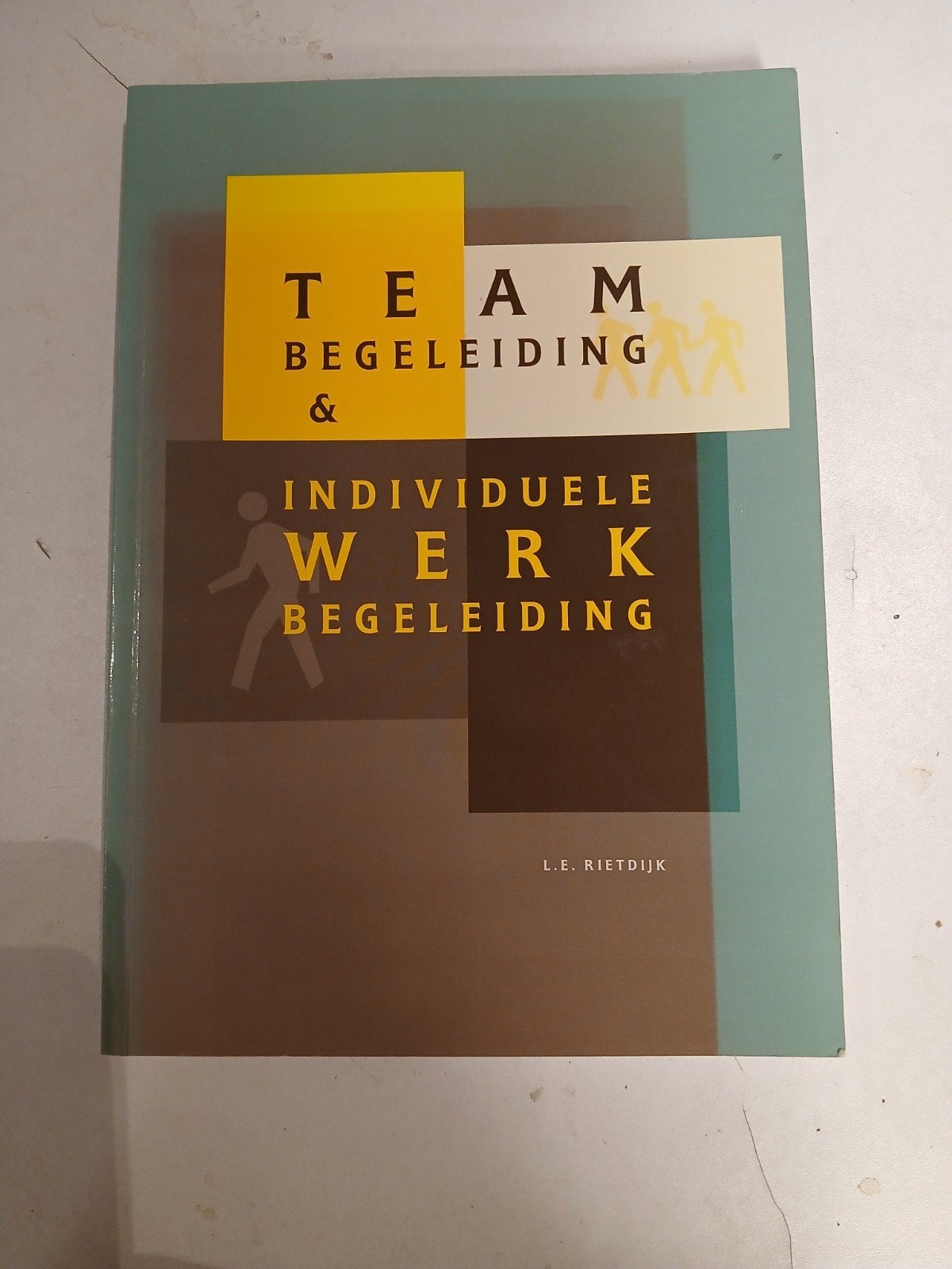 Teambegeleiding en individuele werkbegeleiding, Ophalen of Verzenden, L.E. Rietdijk