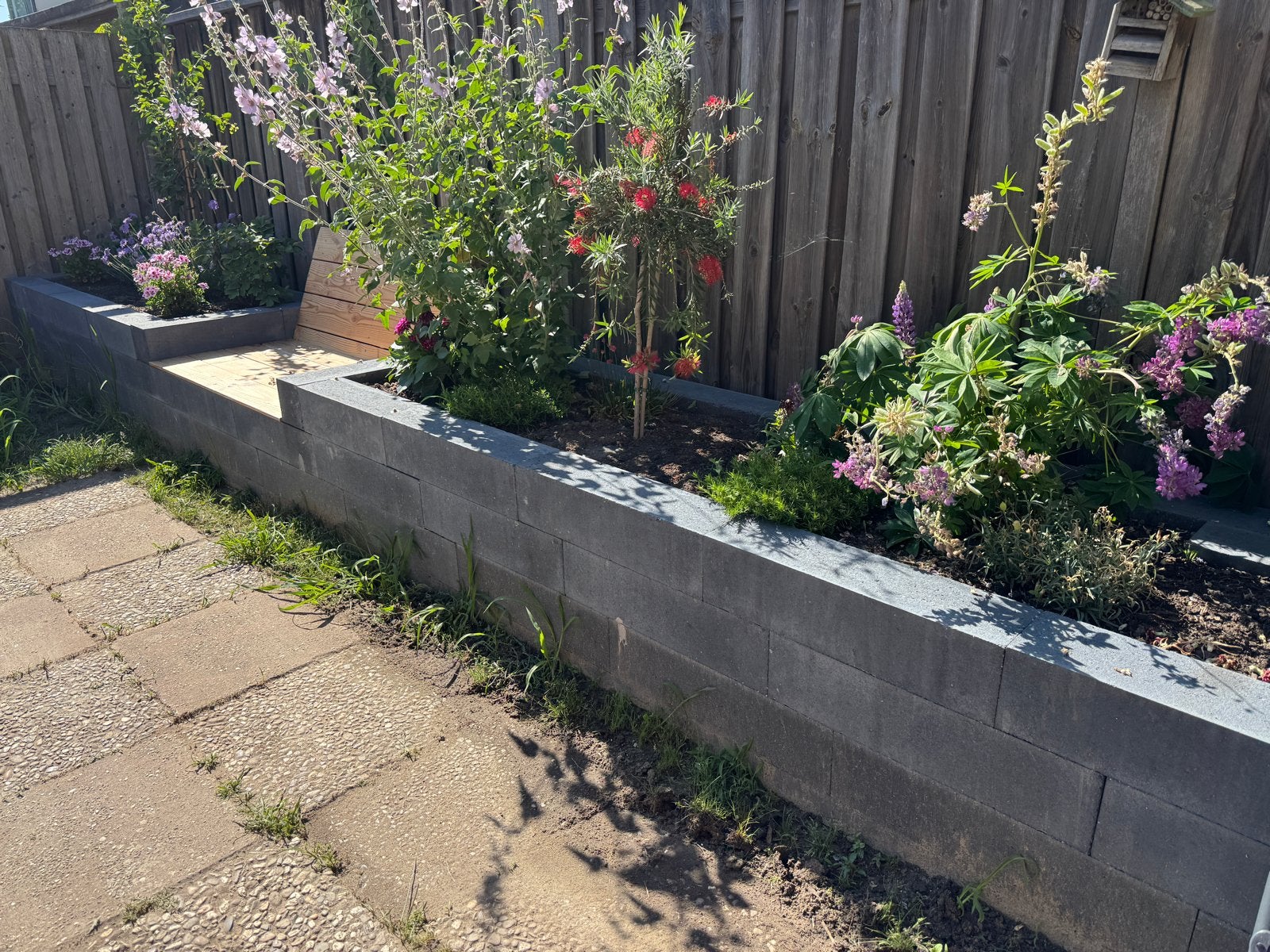 Palissadebanden voor tuin en border, Tuin en Terras, Ophalen, Nieuw, Minder dan 25 cm, Border