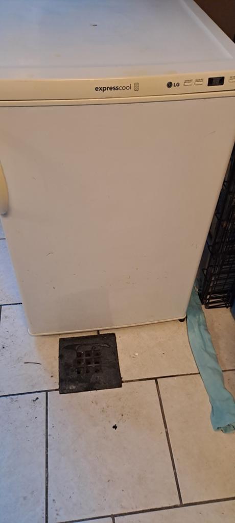 LG Expresscool vriezer- 2 bakken missen 35 euro, Witgoed en Apparatuur, Ophalen, Gebruikt, Minder dan 75 liter, Met vriesvak