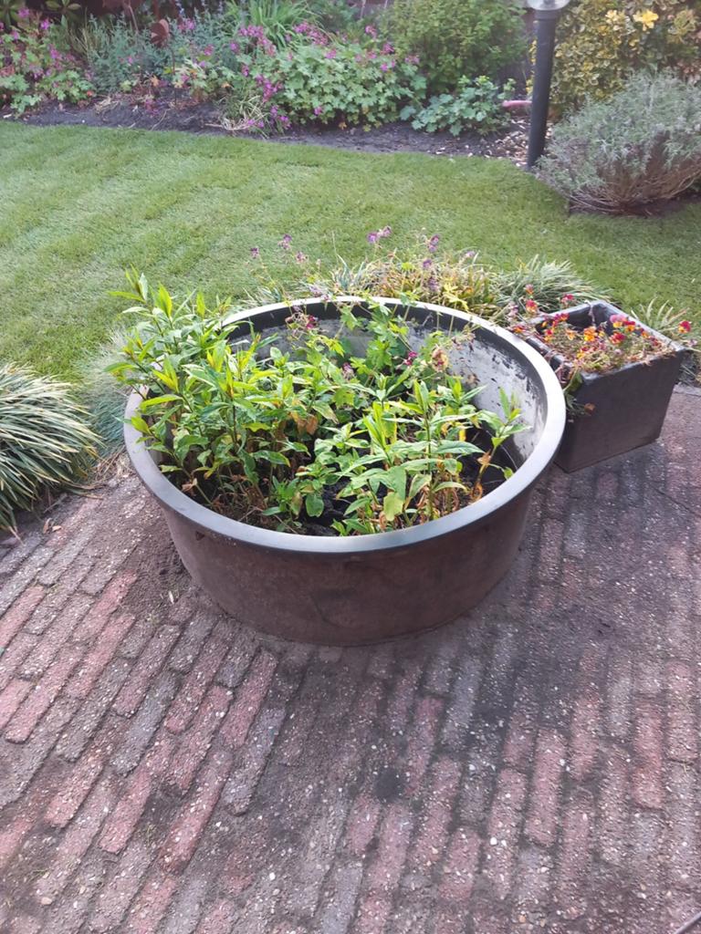 Grote ronde vijverbak / plantenbak, Tuin en Terras, Vijvers, Ophalen, Gebruikt