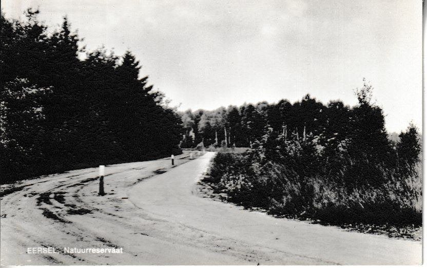 EERSEL - NATUURRESERVAAT, Ophalen of Verzenden, Ongelopen, Natuur
