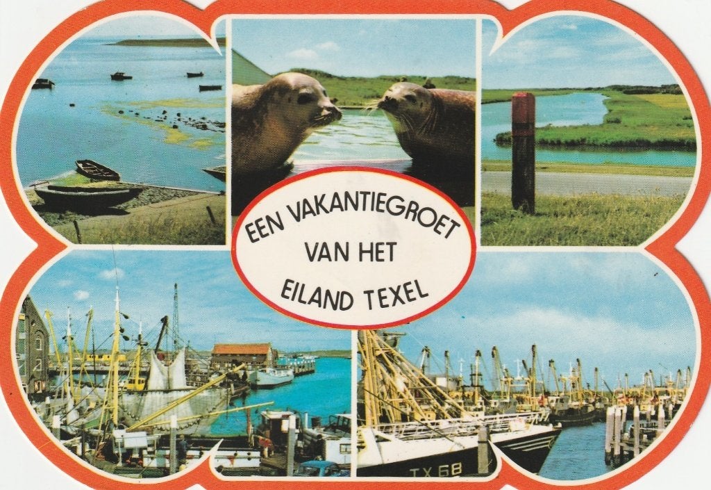 TEXEL Haven Zeehonden Stanskaart, Verzenden, 1980 tot heden, Gelopen, Waddeneilanden