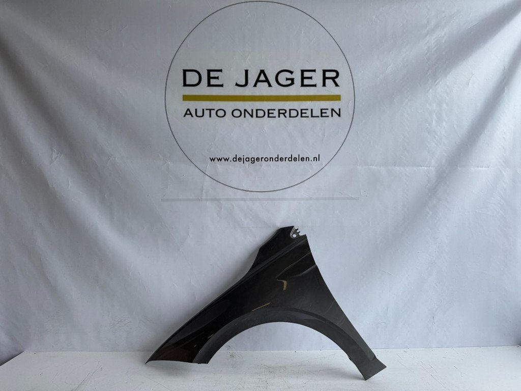 VOLKSWAGEN POLO 2G VOORSCHERM SPATBORD LINKS 2G0821105, Gebruikt, Volkswagen, Volkswagen AG, Voor
