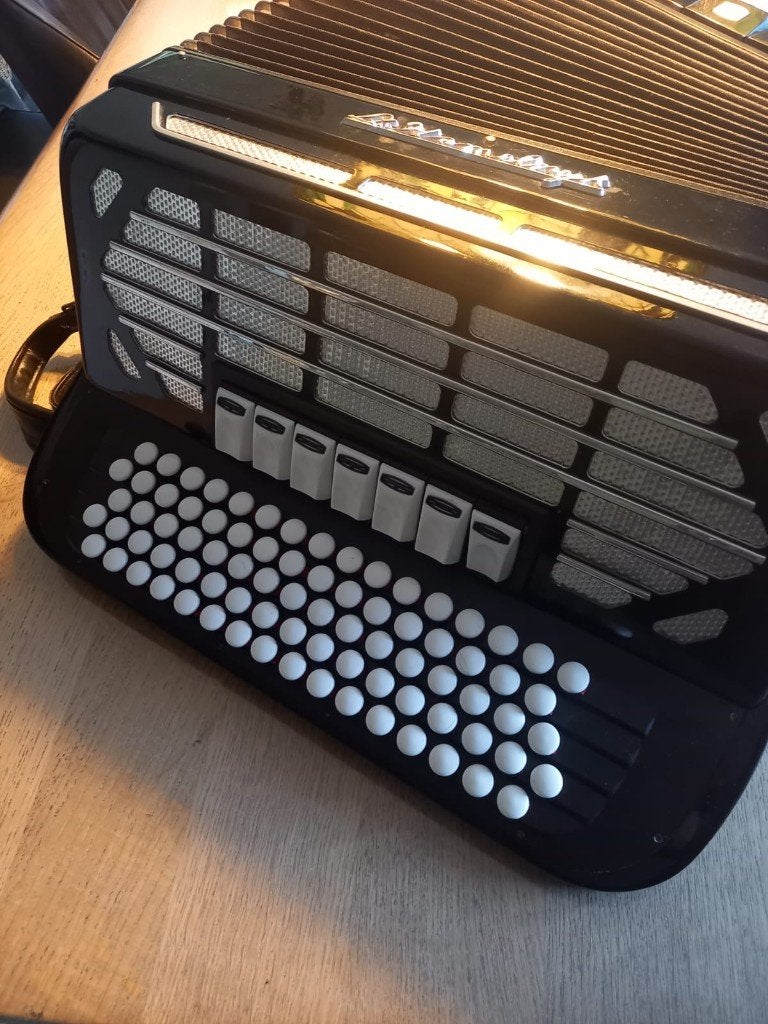 L. Hamelrijk Organe International Special Accordeon, Ophalen, Zo goed als nieuw