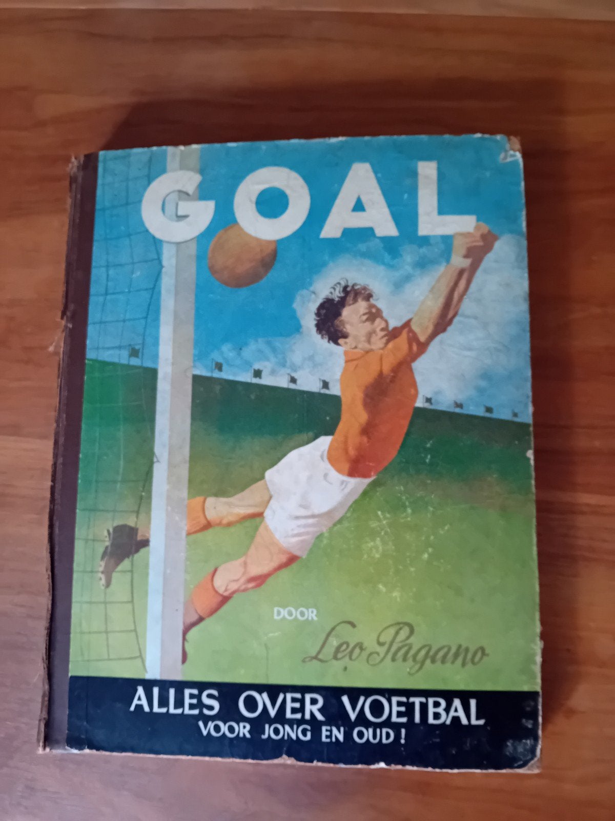 Goal! Alles over voetbal voor jong en oud - Leo Pagano, Ophalen of Verzenden, Gelezen, Leo Pagano, Balsport