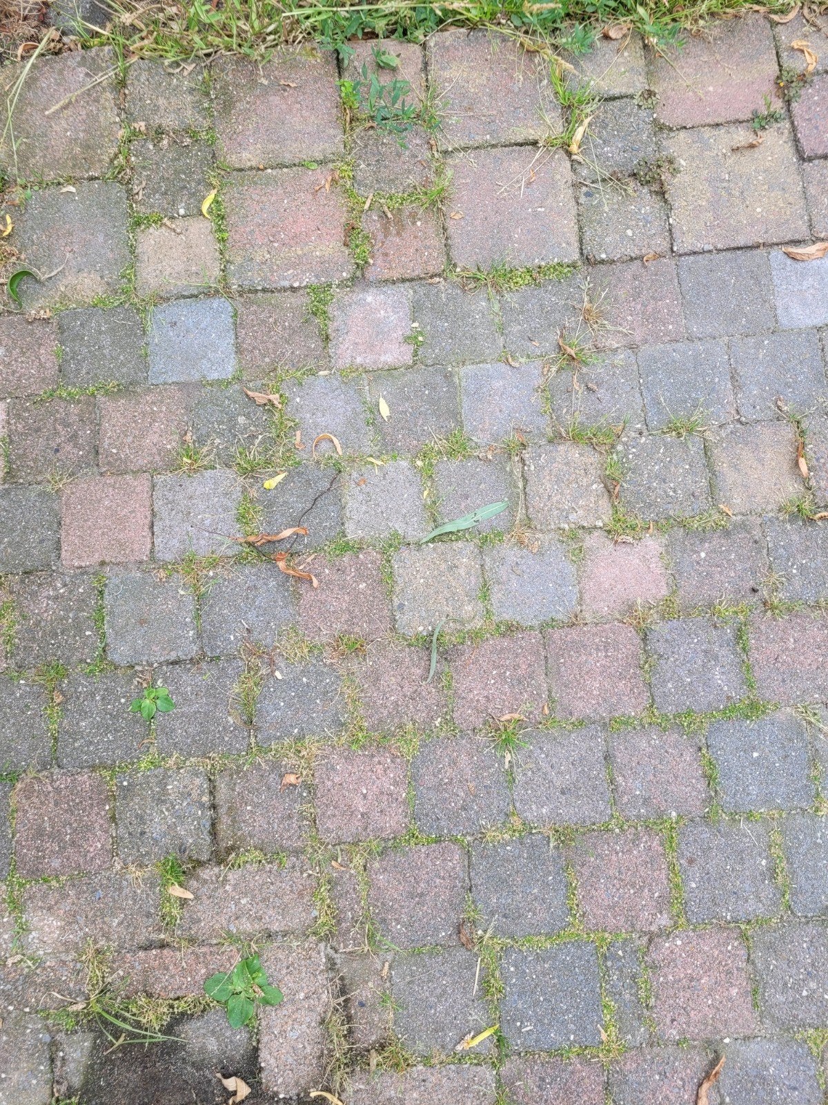 GRATIS ! gebruikte trommelstenen/klinkers, Ophalen, Gebruikt, Overige typen, 10 m² of meer
