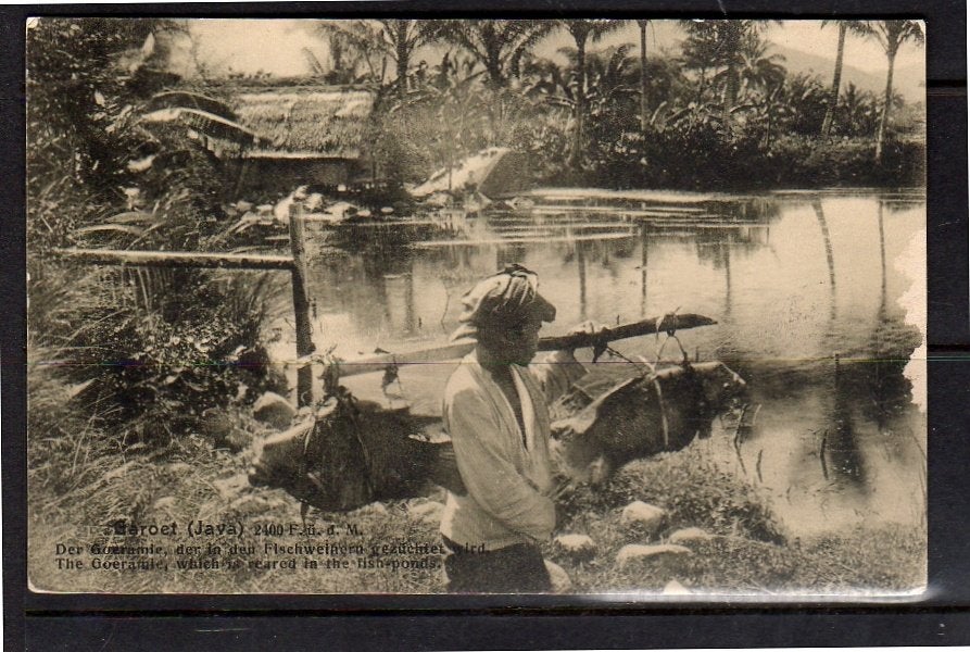 Ned Indië GAROET (West Java) visser  1920 (ni1-9), Ophalen, Voor 1920, Buiten Europa