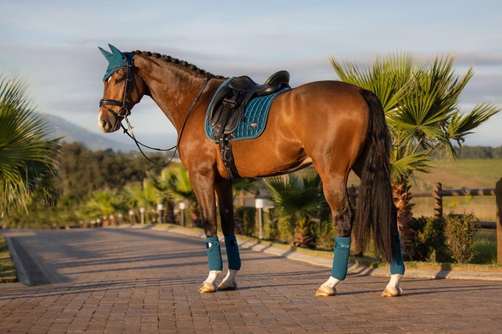 LeMieux Loire Marine dressuur dekje SALE -42%!!, Dieren en Toebehoren, Paarden en Pony's | Dekens en Dekjes, Ophalen of Verzenden