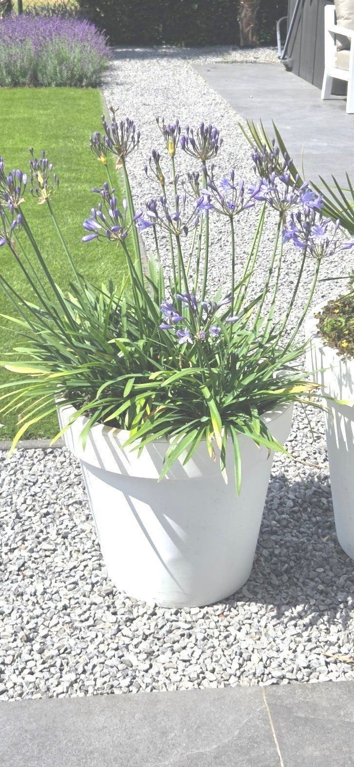 10 Witte Bloempotten - Diameter 50 cm, Ophalen, Kunststof, Gebruikt, 40 cm of meer