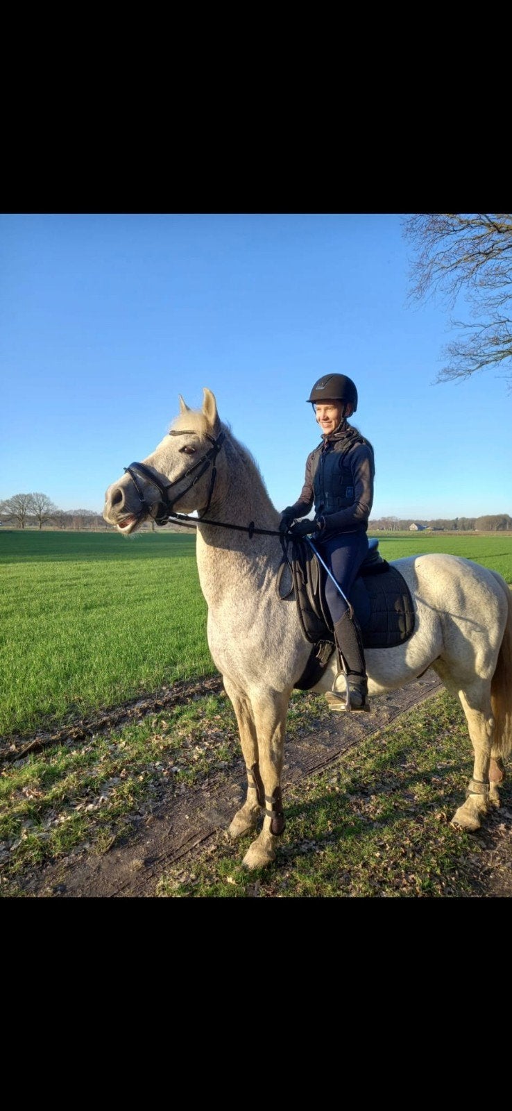 Verzorg paard/pony gezocht  /  bijrijder aangeboden, Ophalen of Verzenden