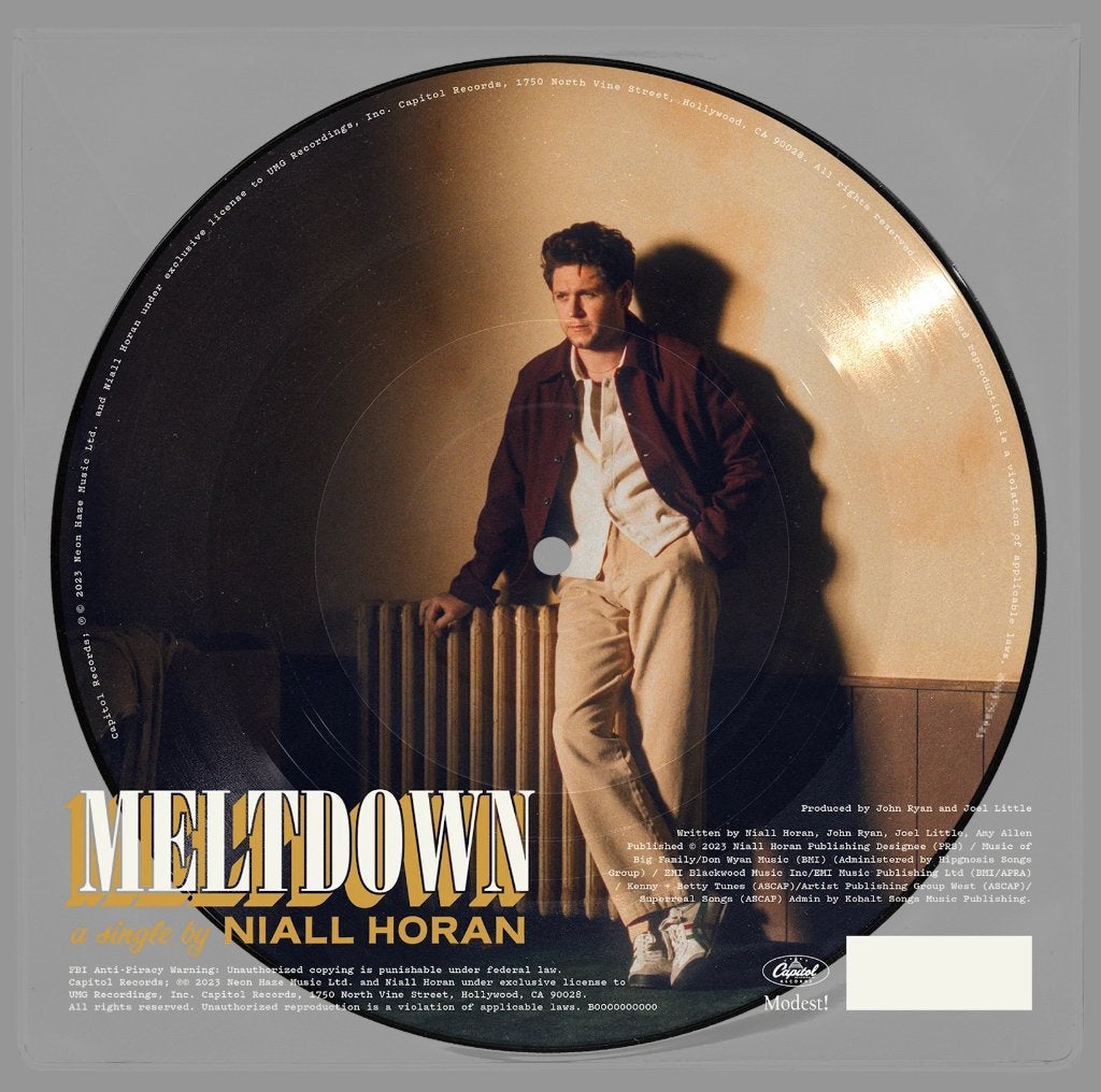 Vinyl Single Niall Horan Meltdown PICTURE DISC NIEUW, Picture disc, 7 inch, Ophalen of Verzenden, Pop