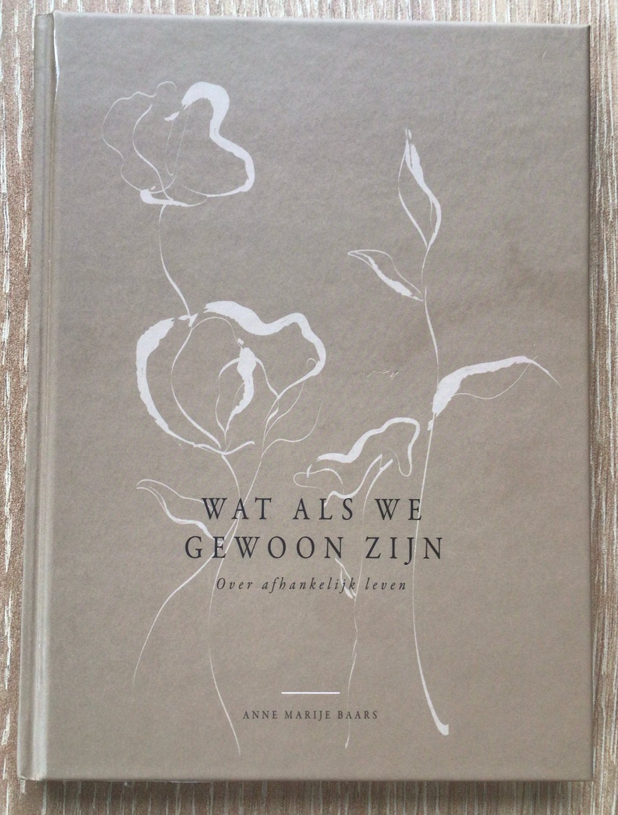Wat als we gewoon zijn – Anne Marije Baars  (2024), Christendom | Protestants, Ophalen of Verzenden, Zo goed als nieuw, Anne Marije Baars