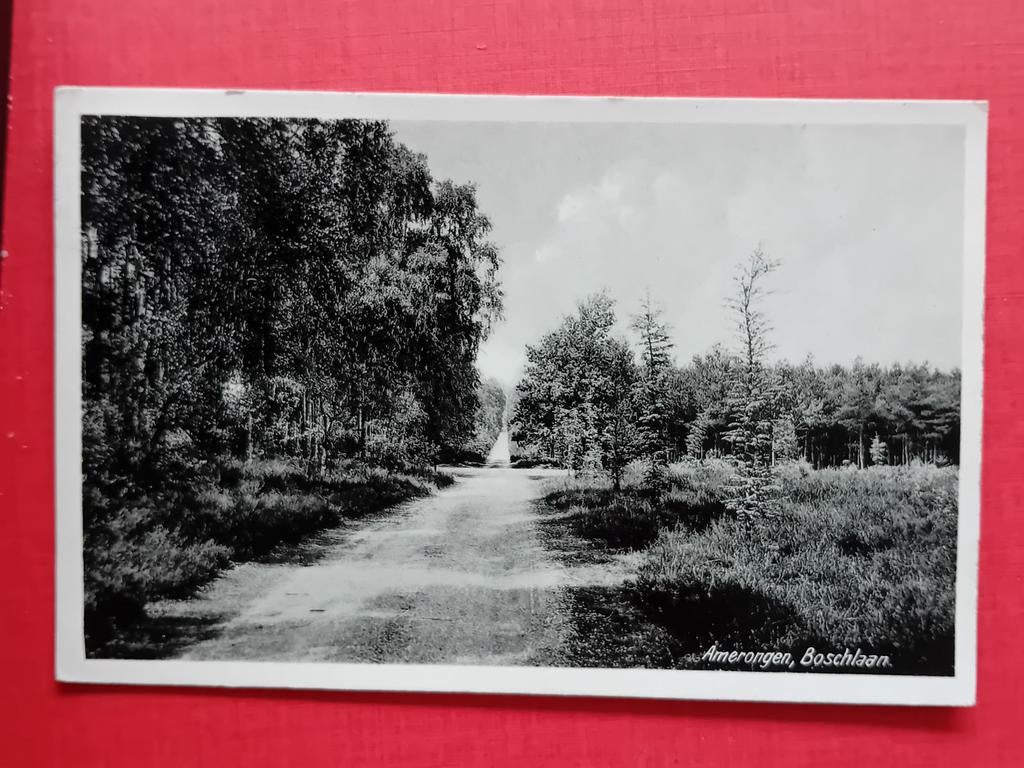 Ansichtkaart Amerongen, Verzamelen, Ansichtkaarten | Nederland, Ophalen of Verzenden