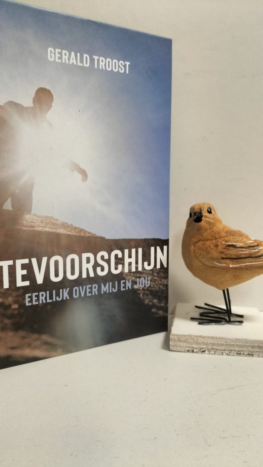 Troost, Gerald; Tevoorschijn, Ophalen of Verzenden, Gelezen, Christendom | Protestants