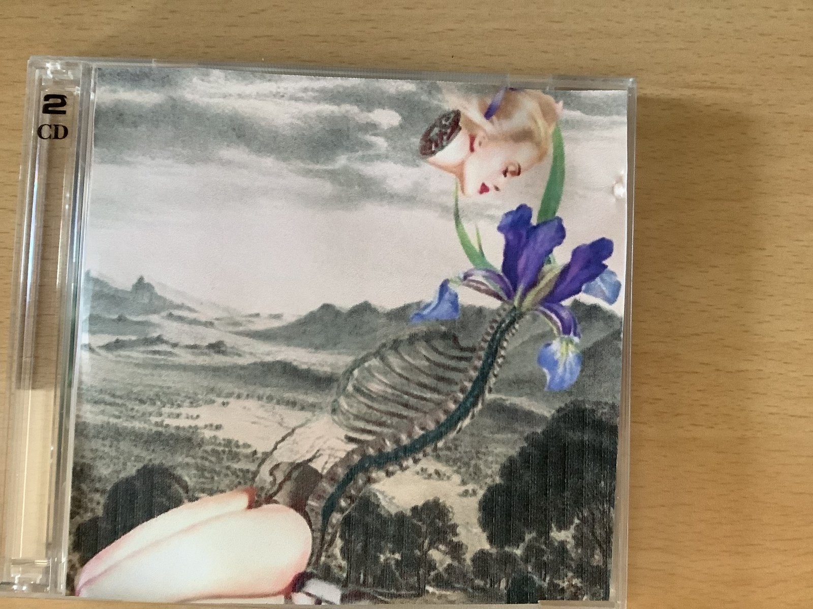 Banco-Progfest 2000 2 cdr schijven te RUIL., Ophalen of Verzenden, Zo goed als nieuw, Progressive Rock